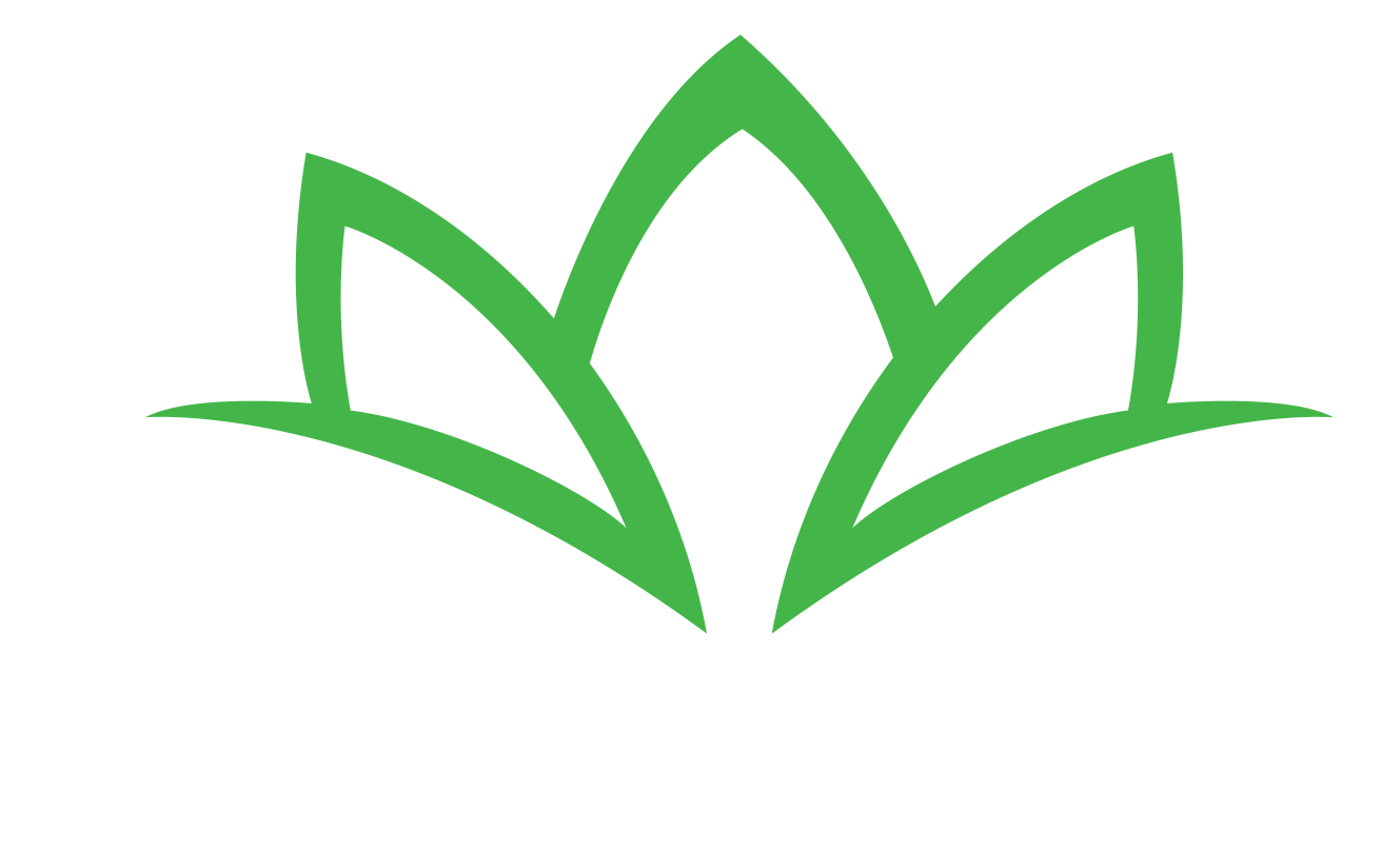 Lotus Hotels
